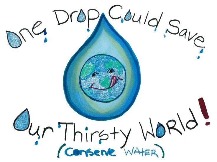 The Best Free Conservation Clipart Images Download From 42 Free