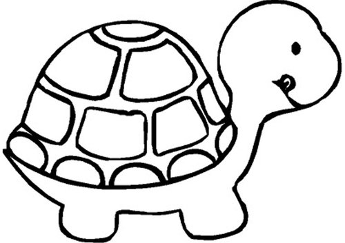 Turtle clipart outline
