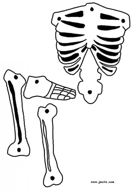 skeleton-template-easy-clipart-best