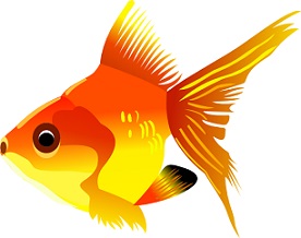 Free Goldfish Clipart