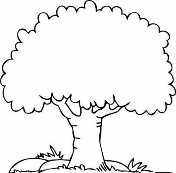 Rehearsal Coloring Trees, Download Coloring Pages Of A Tree ...