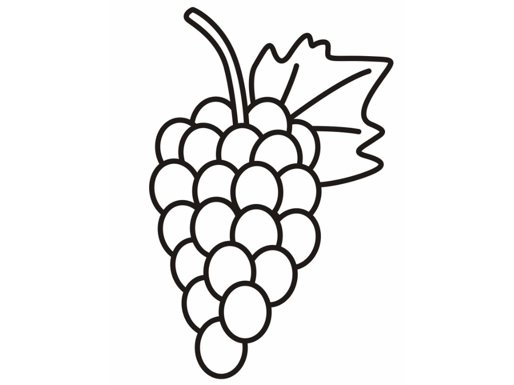 Grape Drawings ClipArt Best