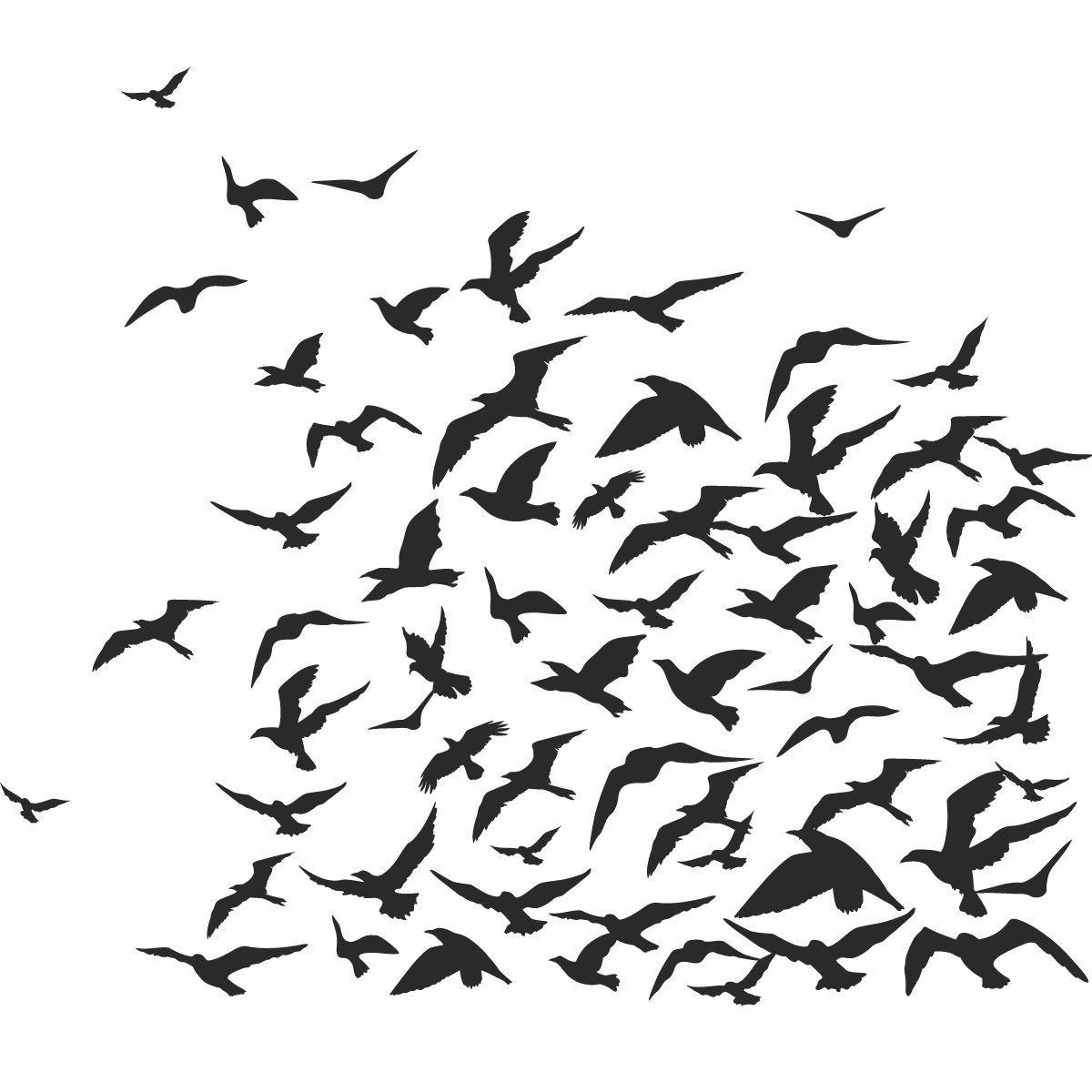 Images For > Flock Of Birds Png