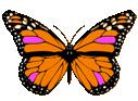 Free Animated Butterfly Clipart - Butterfly Gifs - Graphics