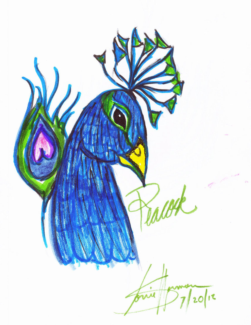 Color Drawing Peacock Clipart - Free to use Clip Art Resource