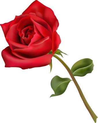 Red Rose Flower Clipart – Clipart Free Download