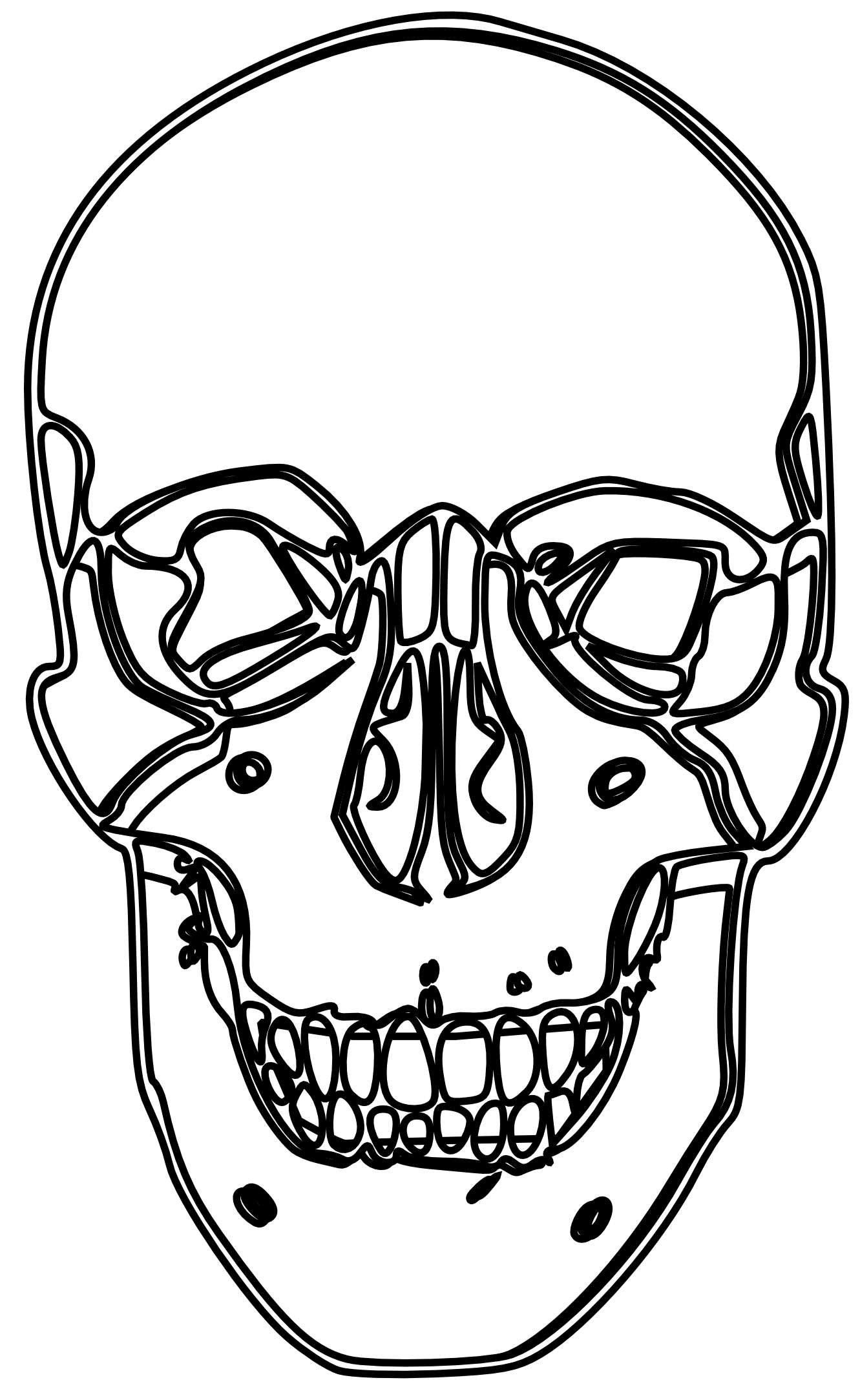 Line Drawing Skull : Human skull line drawing