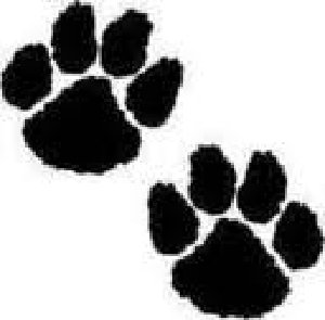 Purple Panther Paw Print