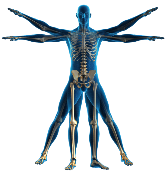 Musculoskeletal physiotherapy