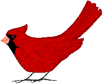 Clip Art Cardinal Bird - ClipArt Best