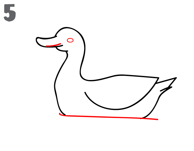 How To Draw a Duck - Step-