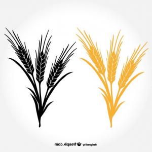 Free Ears Of Wheat Vector Draw | Vectory