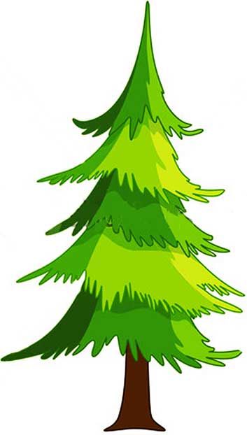 Picture Of Evergreen Tree | Free Download Clip Art | Free Clip Art ...