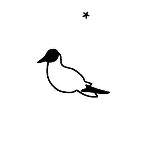 Seagull Animated Slovakia GIF - Searching For Beauty