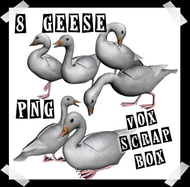 8 Free 3D Poser Geese – Royalty Free Hi-Res .PNG Graphics ...