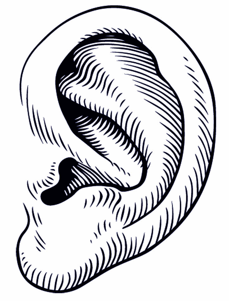 free clip art of ear - photo #5