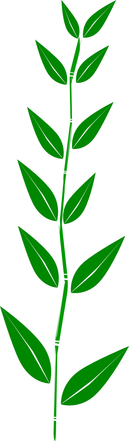 Bamboo Leaf Clipart Royalty Free Public Domain Clipart