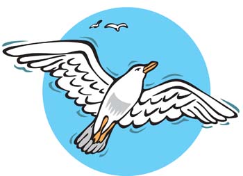 Seagull Graphic - ClipArt Best