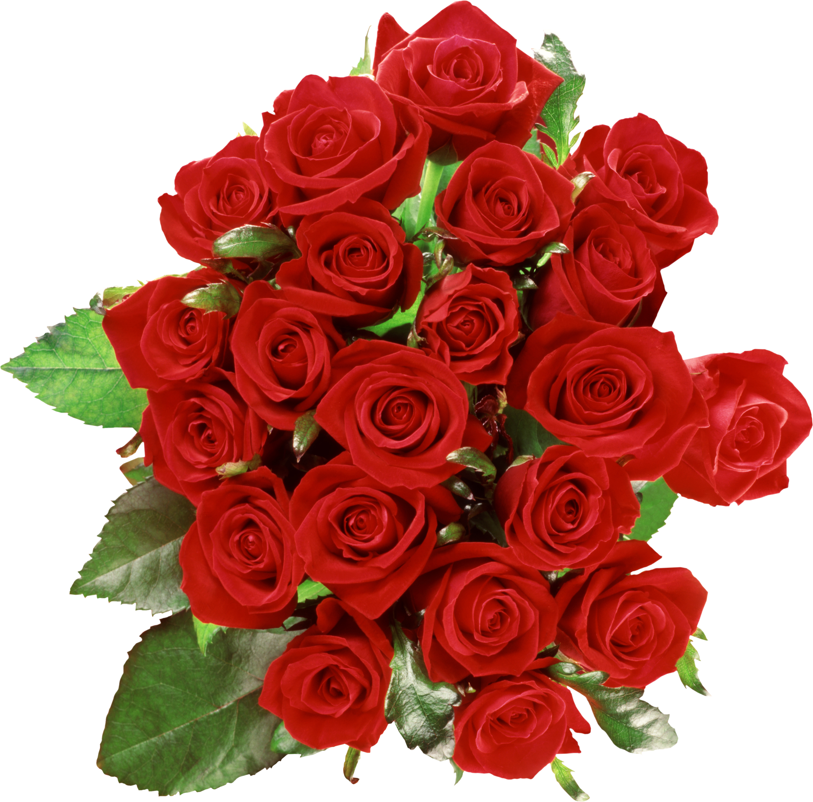 Download PNG image: Bouquet of roses PNG image, free picture download