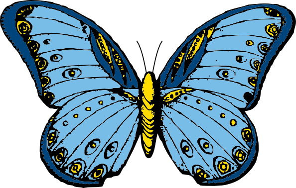 Colorful Cartoon Butterfly Colorful Cartoon Butterfly Butterflies