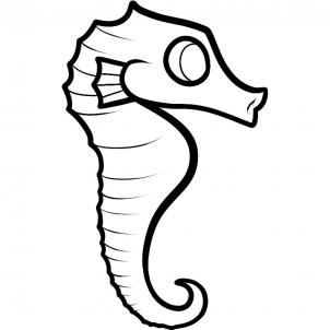 Animals - How to Draw a Seahorse for Kids