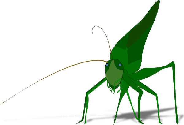 Grasshopper clip art - vector clip art online, royalty free ...