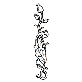 rubber stamps party supplies - floral rubber stamps