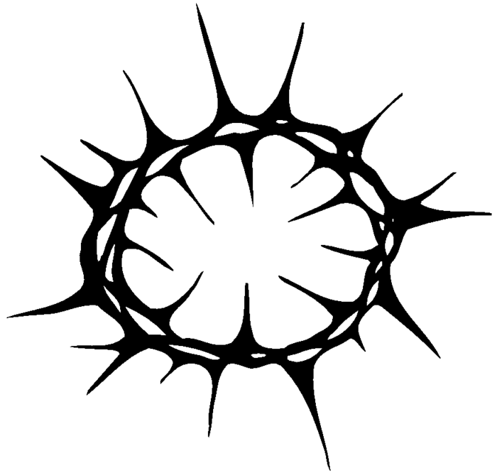 Crown of thorns clipart.