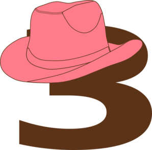 3 Cowgirl Hat clip art - vector clip art online, royalty free ...