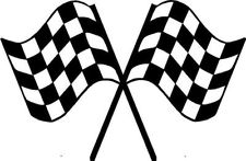 42 checkered flag decals car in Car & Truck Parts
