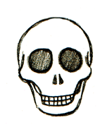 How to Draw Skulls: Easy Step-by-Step Instructions for Drawing ...