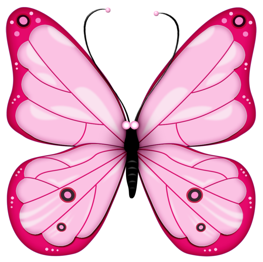 RES] Pink Butterfly PNG by HanaBell1