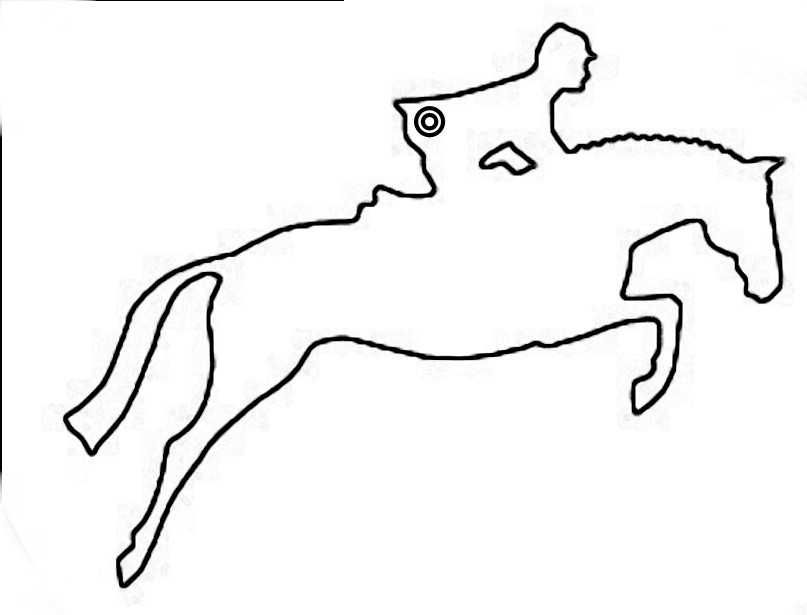 Horse Outline Images