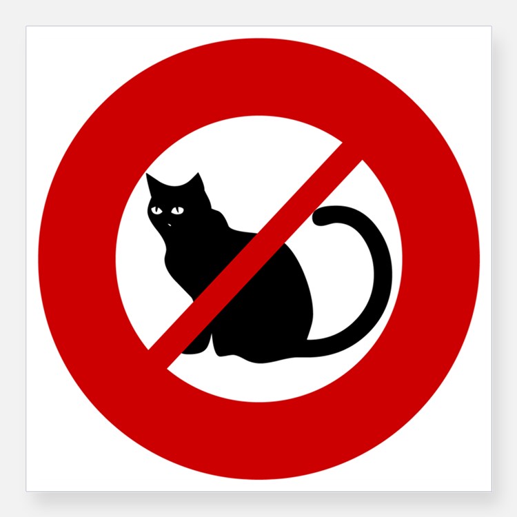 Anti Cat Bumper Stickers | Car Stickers, Decals, & More