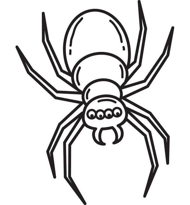 spider-outline-printable-clipart-best