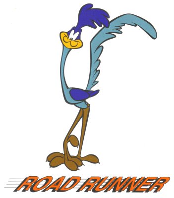 1000+ images about Roadrunner