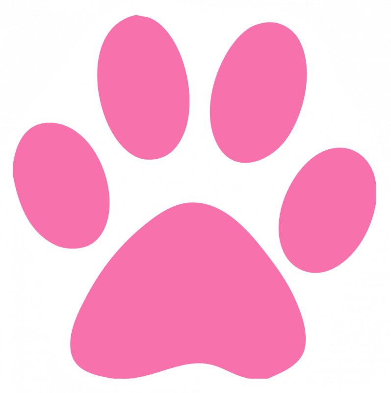 Pink cat clipart outline