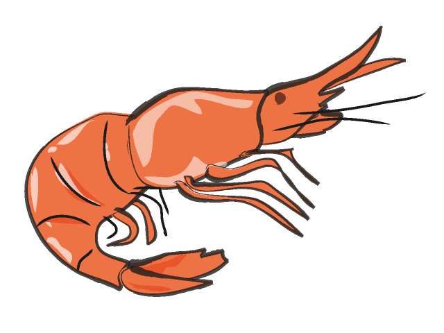 Free Clip Art Food Images Download 05 Prawn Shrimp Clip Art Images
