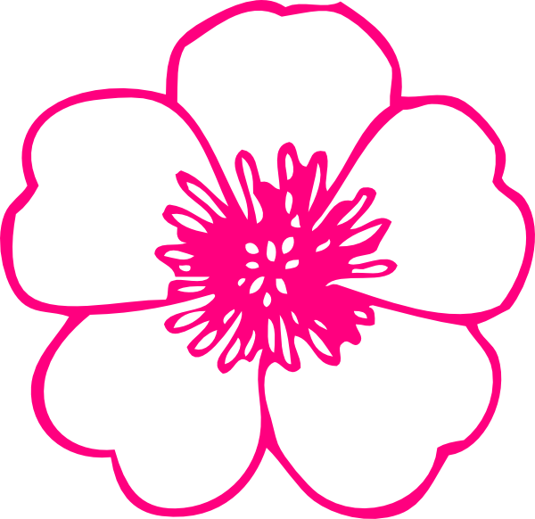 Larkspur Flower Tattoos