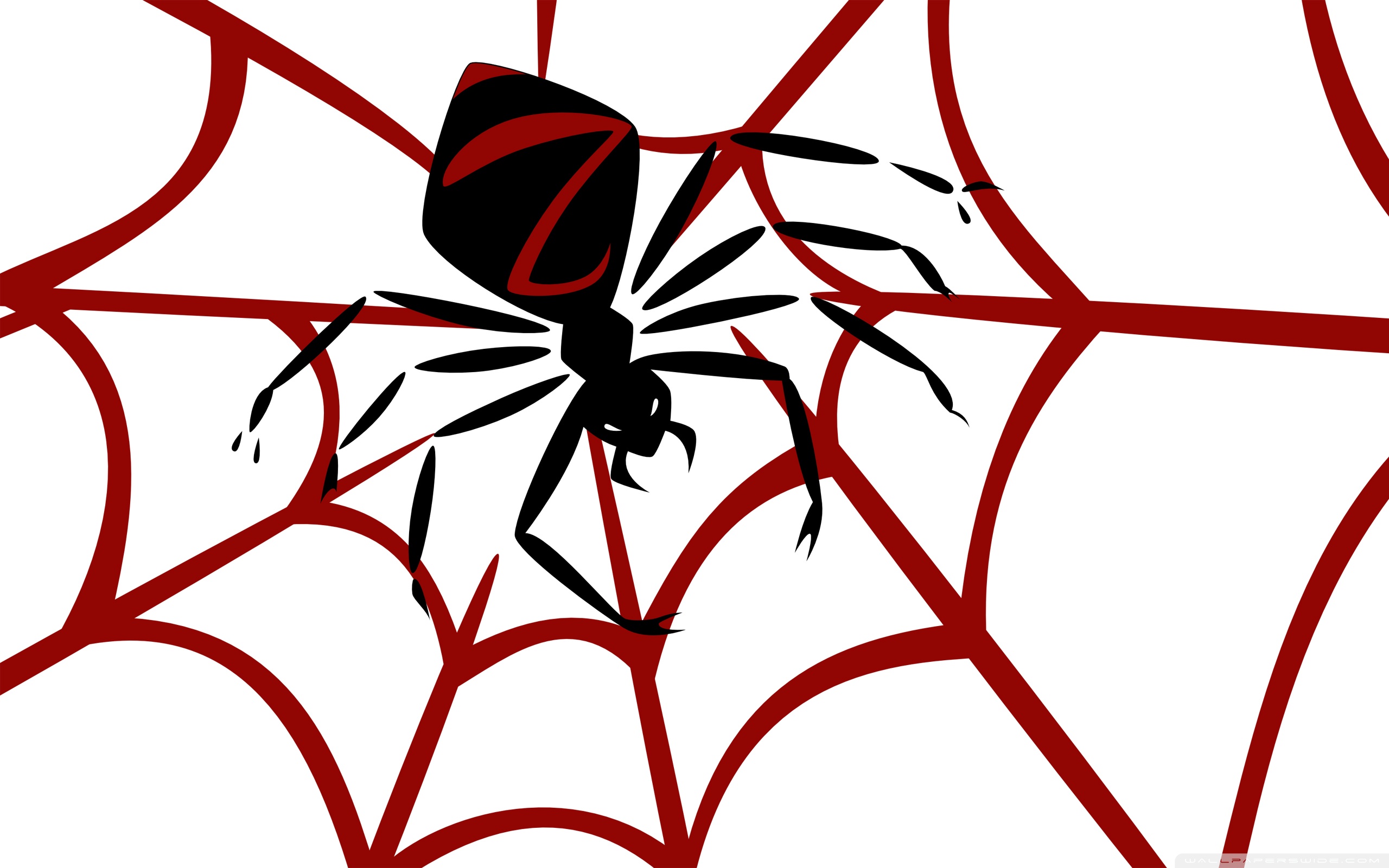 Spider Vector Art HD desktop wallpaper : High Definition ...