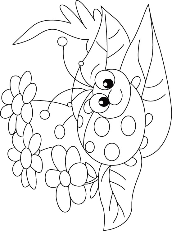 ladybug and flower coloring pages - photo #11