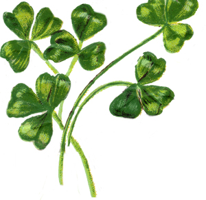 What Time Does The St Patricks Day Parade Start | St. Paul Condos ...
