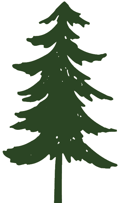 pine trees clipart - photo #3