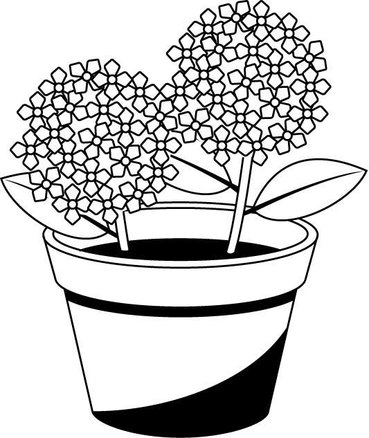 potted plant-Material of flower-illpop com(