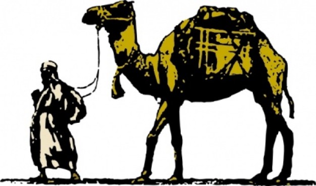 Camel clip art | Download free Vector