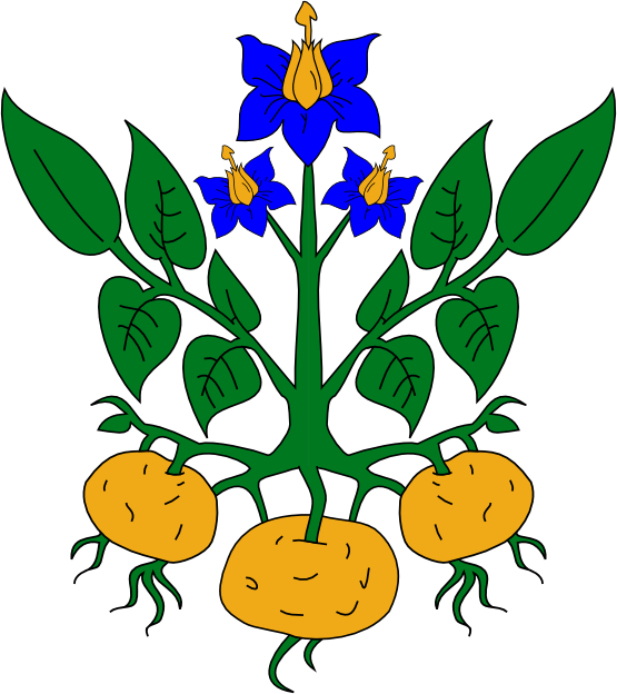 Propaganda Flag with Flowers Heraldic Potato Plant 2 xochi.info ...
