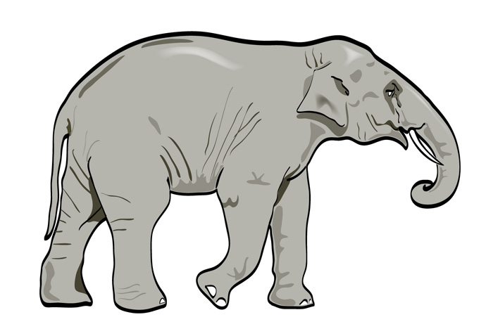 elephant vector clip art - photo #7