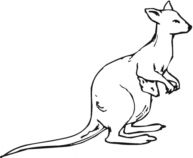 free clip art kangaroo outline - photo #13