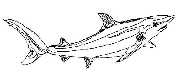 LaFishMag.Com Clip Art Book Pg. 7, shark, blue marlin