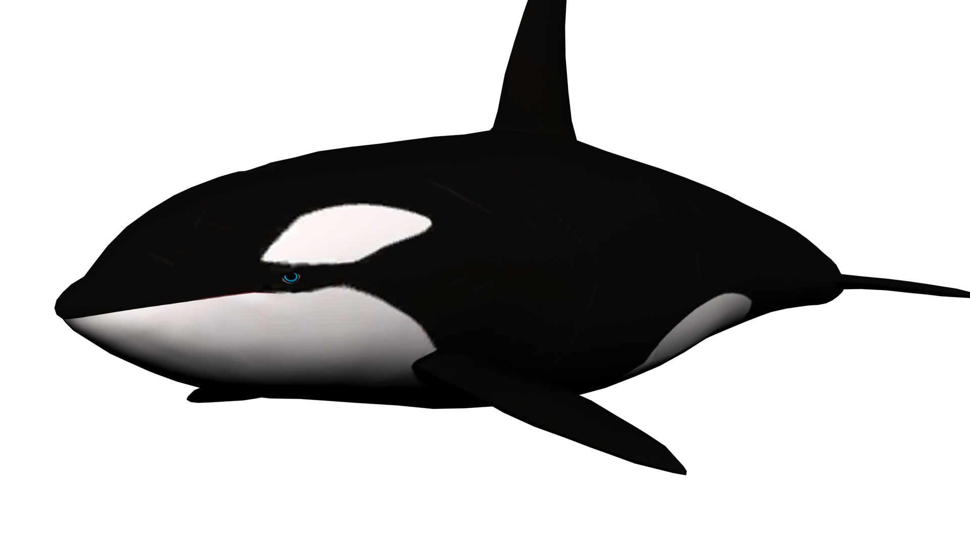 Orca Clipart - Tumundografico